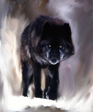 Am I the Grim or not? What do you think?